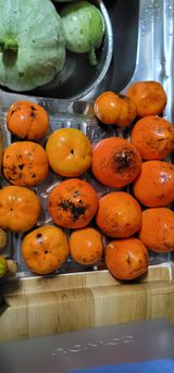 팜모닝 오늘 어떤 농작업하셨나요?·참여글 게시글 이미지