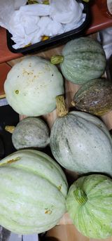 팜모닝 오늘 어떤 농작업하셨나요?·참여글 게시글 이미지