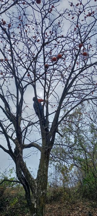 이형만 우영혜님의 오늘 어떤 농작업하셨나요? · 참여글 작성글 사진