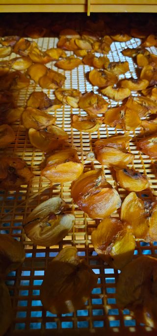 백용기님의 자유주제 · 자유게시판 작성글 사진