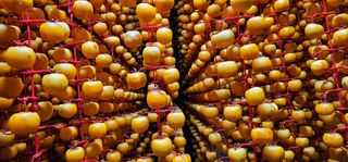 백용기님의 자유주제 · 자유게시판 작성글 사진