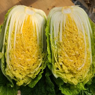 엄미애님의 오늘 어떤 농작업하셨나요? · 참여글 작성글 사진