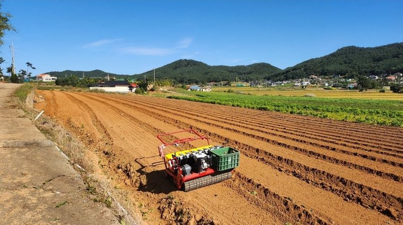 장터 상품 [🛺신화정공 마늘파종기 8조식(거의새것)] 썸네일