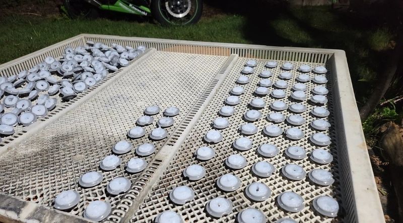 조한솔님의 장터 판매 상품 [🛺신화정공 마늘파종기 8조식(거의새것)] 첨부 사진