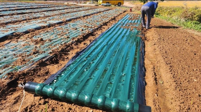 조한솔님의 장터 판매 상품 [🛺신화정공 마늘파종기 8조식(거의새것)] 첨부 사진