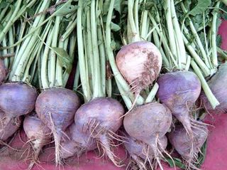 강화댁님의 작성글 사진