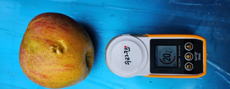 장터 상품 [청송사과10키로] 썸네일