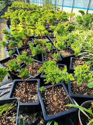 약초원 김종군님의 오늘 어떤 농작업하셨나요? · 참여글 작성글 사진