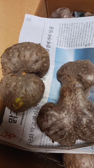 알 수 없음님의 기타작물 · 자유게시판 작성글 사진