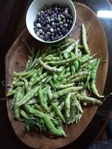 팜모닝 오늘 어떤 농작업하셨나요?·참여글 게시글 이미지