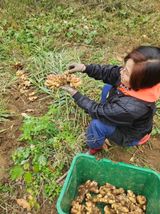 팜모닝 오늘 어떤 농작업하셨나요?·참여글 게시글 이미지