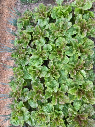 윤종근님의 기타작물 · 자유게시판 작성글 사진