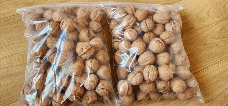 석송호두농원님의 장터 판매 상품 [호두 1kg] 첨부 사진