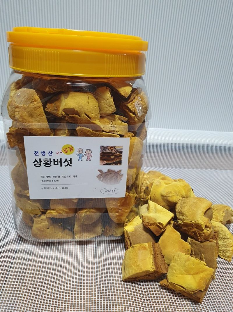 장터 상품 [2년산 상황버섯] 썸네일