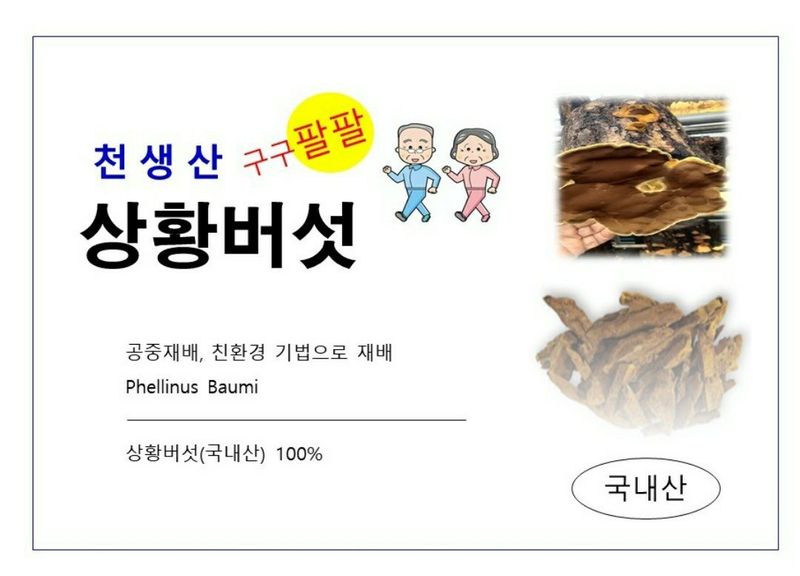 배경옥님의 장터 판매 상품 [2년산 상황버섯] 첨부 사진