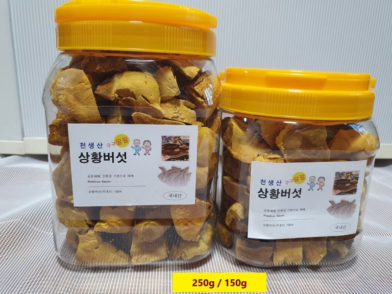 배경옥님의 장터 판매 상품 [2년산 상황버섯] 첨부 사진