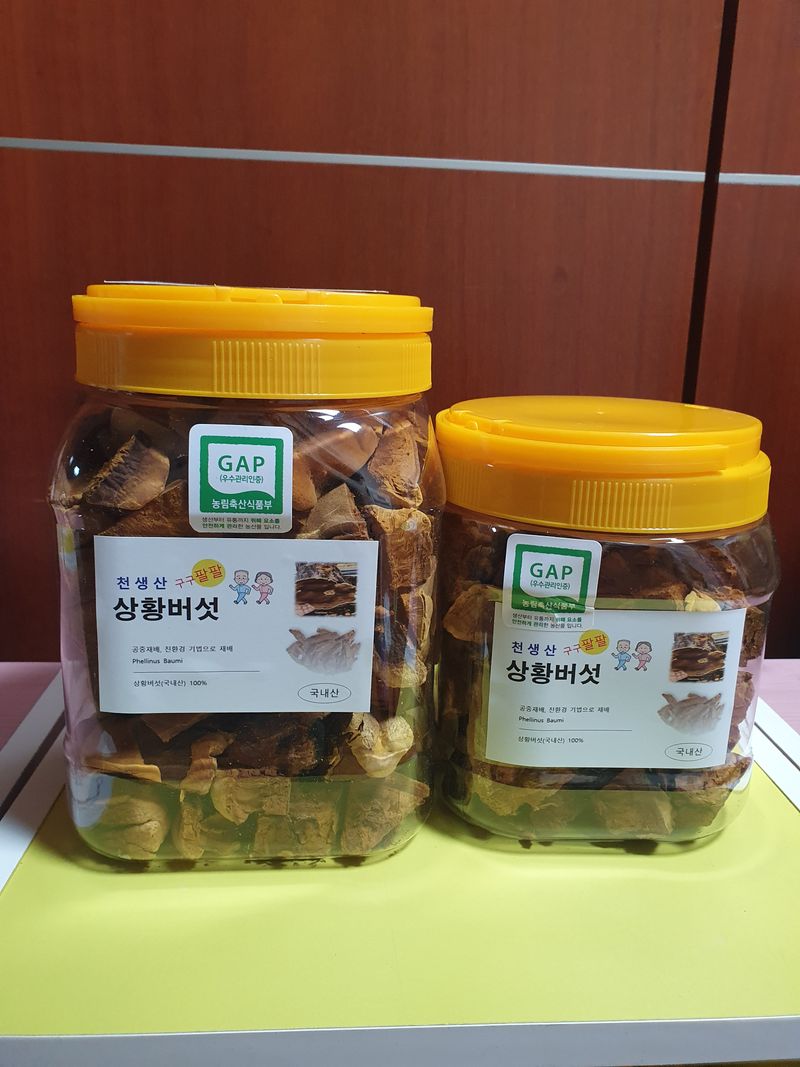 배경옥님의 장터 판매 상품 [2년산 상황버섯] 첨부 사진