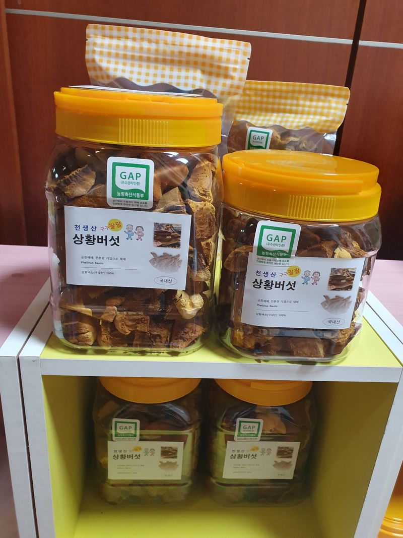 배경옥님의 장터 판매 상품 [2년산 상황버섯] 첨부 사진