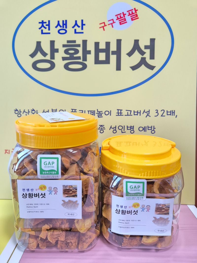 배경옥님의 장터 판매 상품 [2년산 상황버섯] 첨부 사진