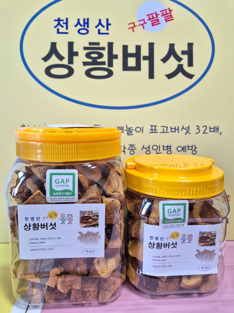 장터 상품 [2년산 상황버섯] 썸네일