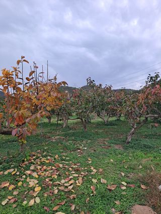 농촌사랑님의 자유주제 · 자유게시판 작성글 사진