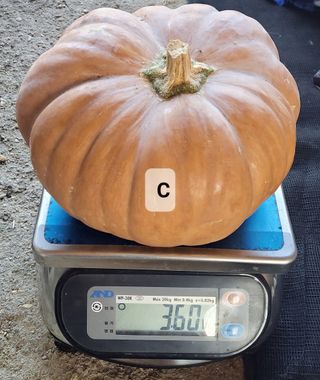 김중언님의 작성글 사진