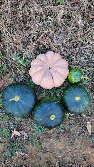 장선영님의 자유주제 · 자유게시판 작성글 사진