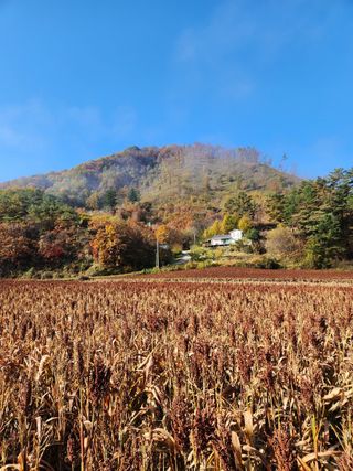 원주청년님의 작성글 사진