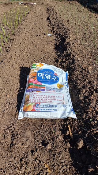 초보 구찌뽕님의 마늘 · 일상 작성글 사진