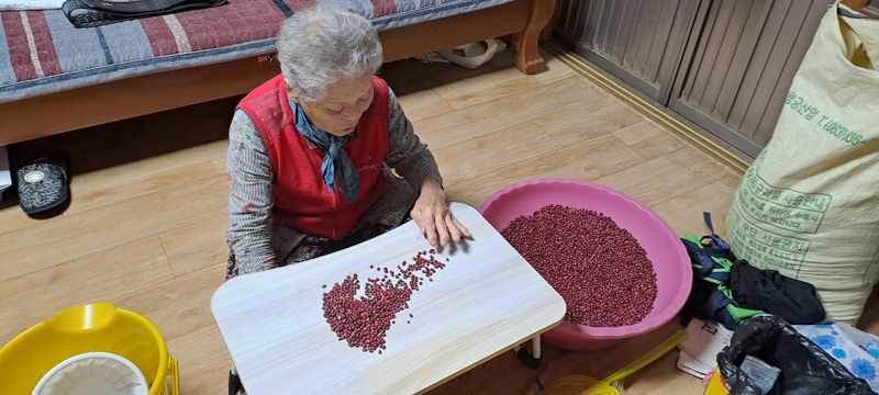 장터 상품 [약콩(쥐눈이콩) / 서리태(토종) / 팥(붉은팥) / 면태(대원콩)] 썸네일