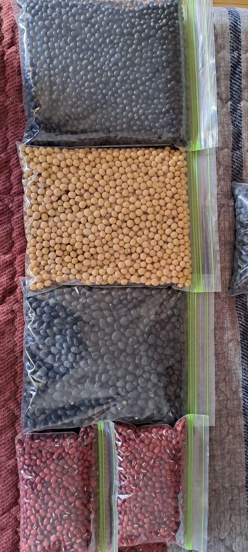 교보생명전용식님의 장터 판매 상품 [약콩(쥐눈이콩) / 서리태(토종) / 팥(붉은팥) / 면태(대원콩)] 첨부 사진