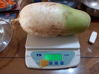 땅땅님의 배추 · 수확 작성글 사진