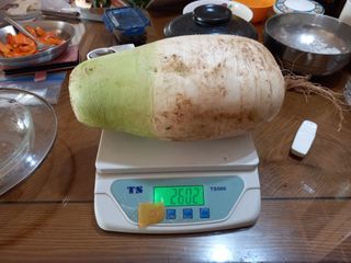 땅땅님의 배추 · 수확 작성글 사진