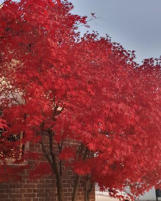한밭농원님의 오늘 어떤 농작업하셨나요? · 참여글 작성글 사진