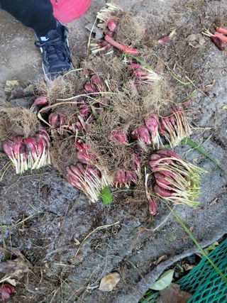 유위정님의 자유주제 · 자유게시판 작성글 사진