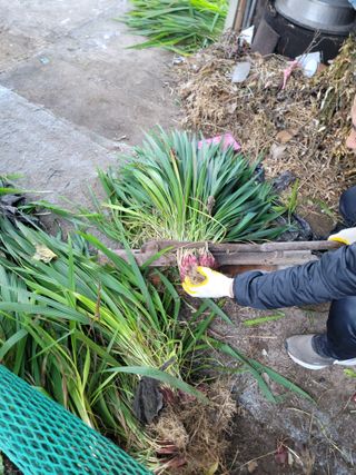 유위정님의 자유주제 · 자유게시판 작성글 사진