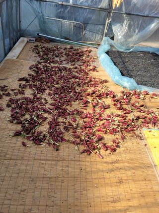 유위정님의 자유주제 · 자유게시판 작성글 사진