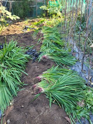 유위정님의 자유주제 · 자유게시판 작성글 사진