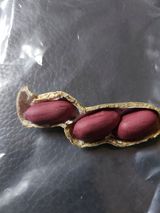 팜모닝 오늘 어떤 농작업하셨나요?·참여글 게시글 이미지