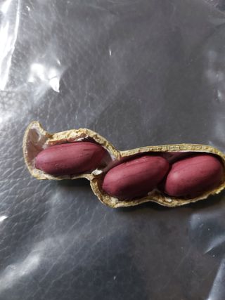 미카엘농장님의 오늘 어떤 농작업하셨나요? · 참여글 작성글 사진