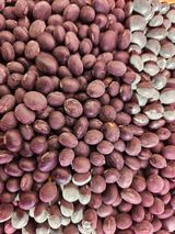 팜모닝 · 게시글 이미지