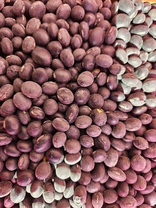 송경희님의 작성글 사진