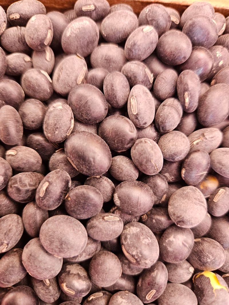 송경희님의 장터 판매 상품 [서리태] 첨부 사진