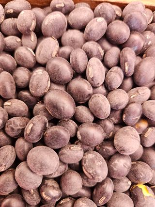 송경희님의 작성글 사진