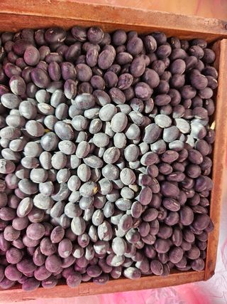 송경희님의 작성글 사진