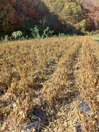 손윤영/수채화농원님의 작성글 사진
