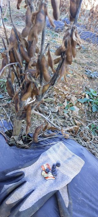 손윤영/수채화농원님의 작성글 사진