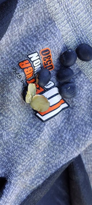 손윤영/수채화농원님의 작성글 사진