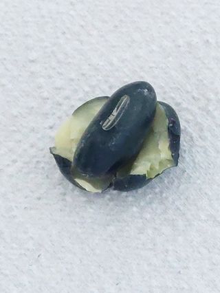 손윤영/수채화농원님의 작성글 사진