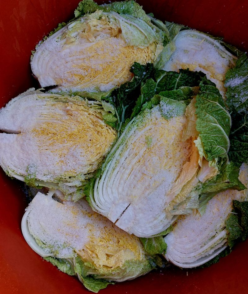 손윤영/수채화농원님의 장터 판매 상품 [서리태1kg] 첨부 사진